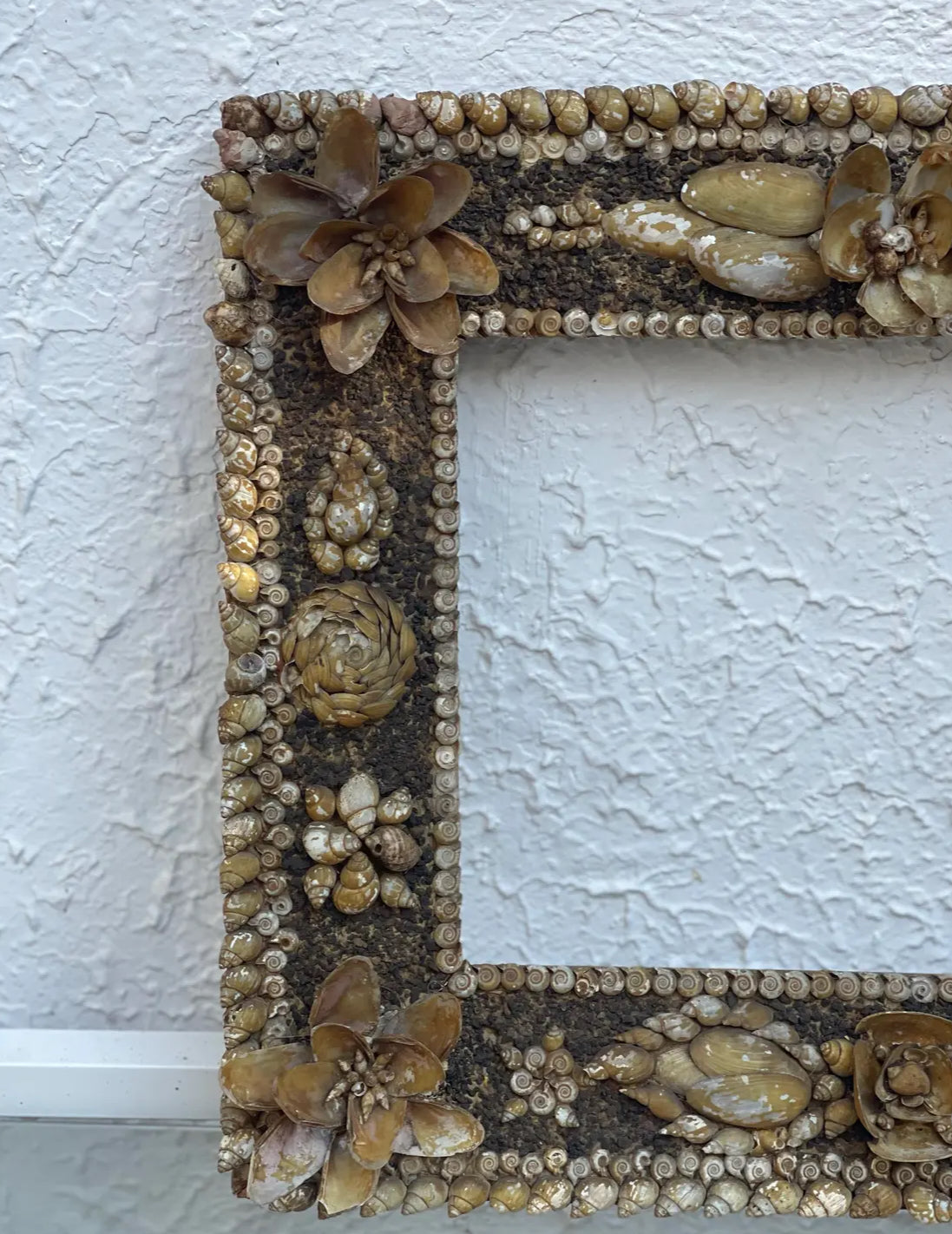 1960s Shellwork Frame