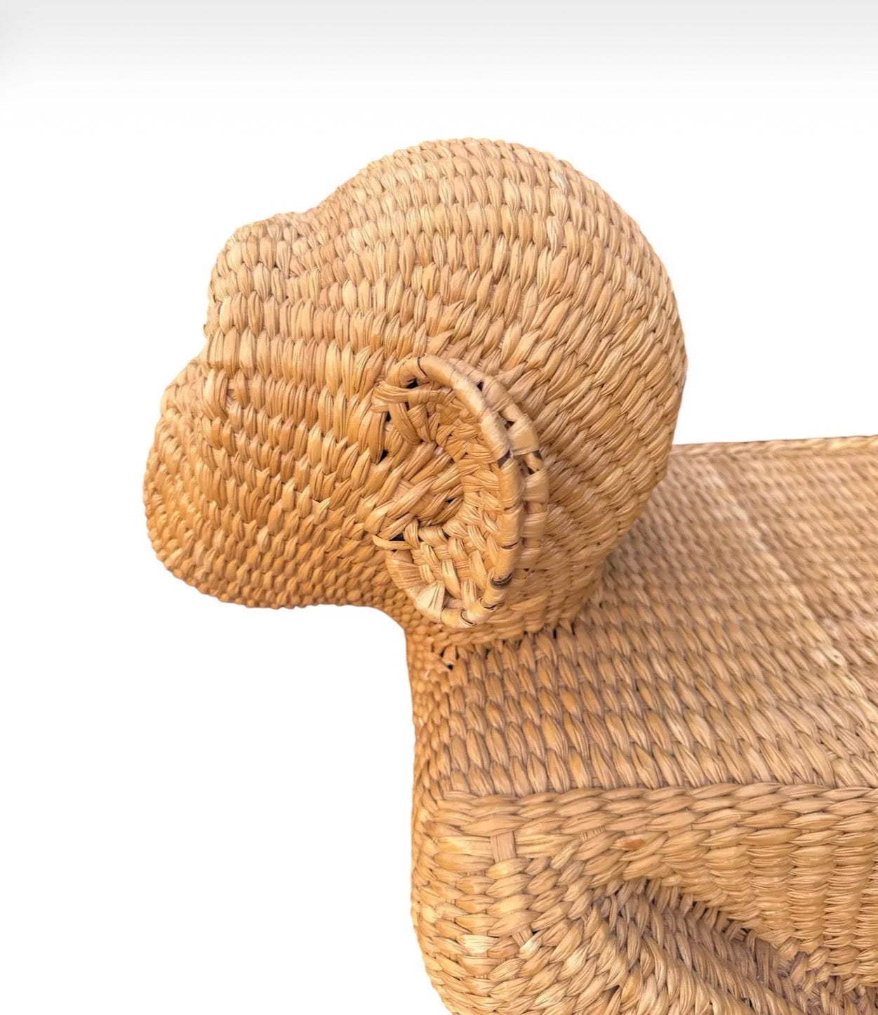 Mario Lopez Torres Monkey Bench