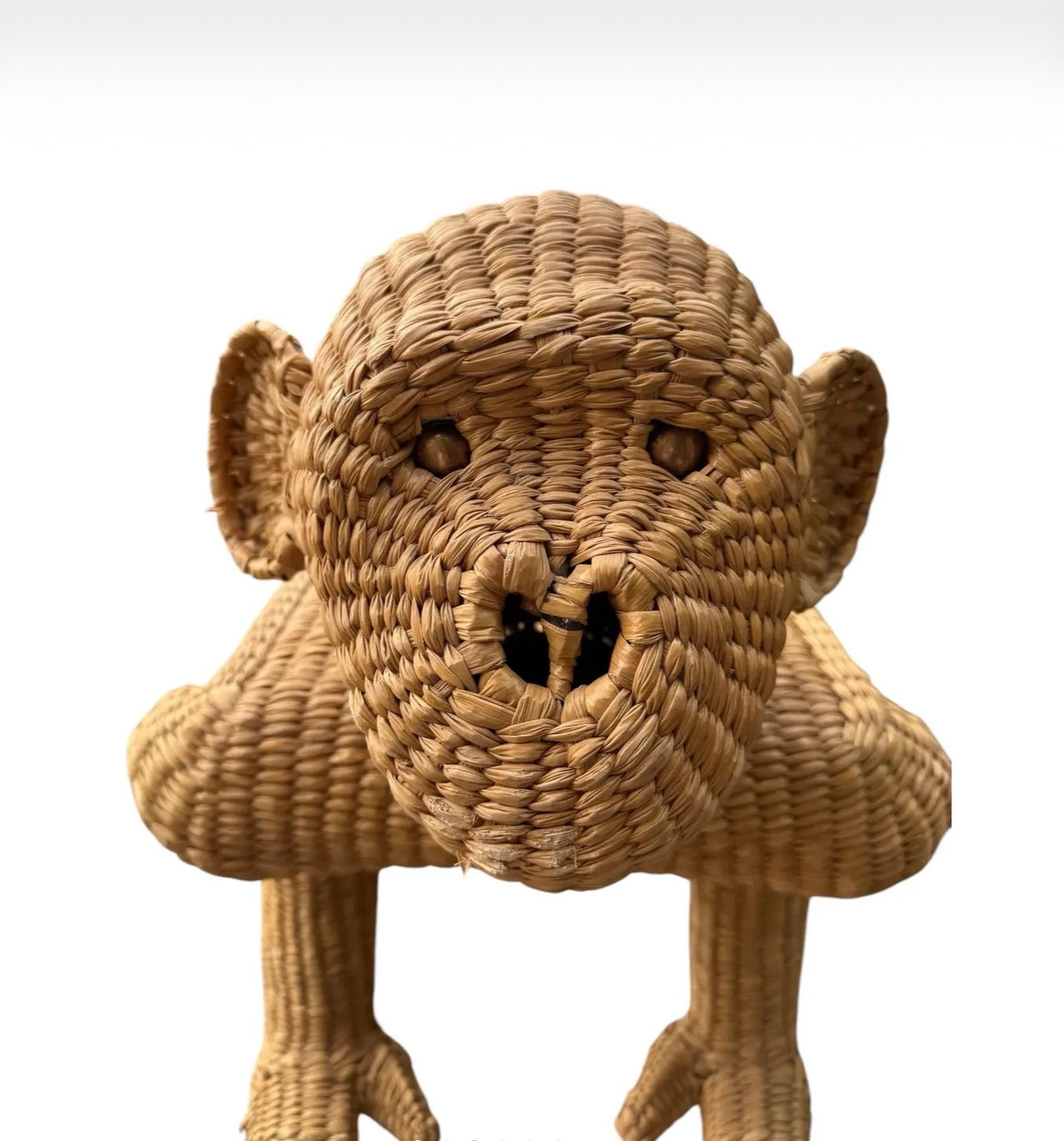 Mario Lopez Torres Monkey Bench