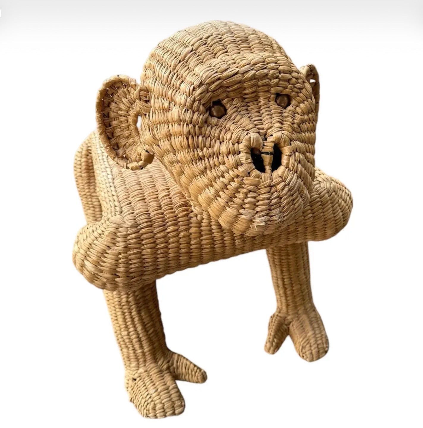 Mario Lopez Torres Monkey Bench