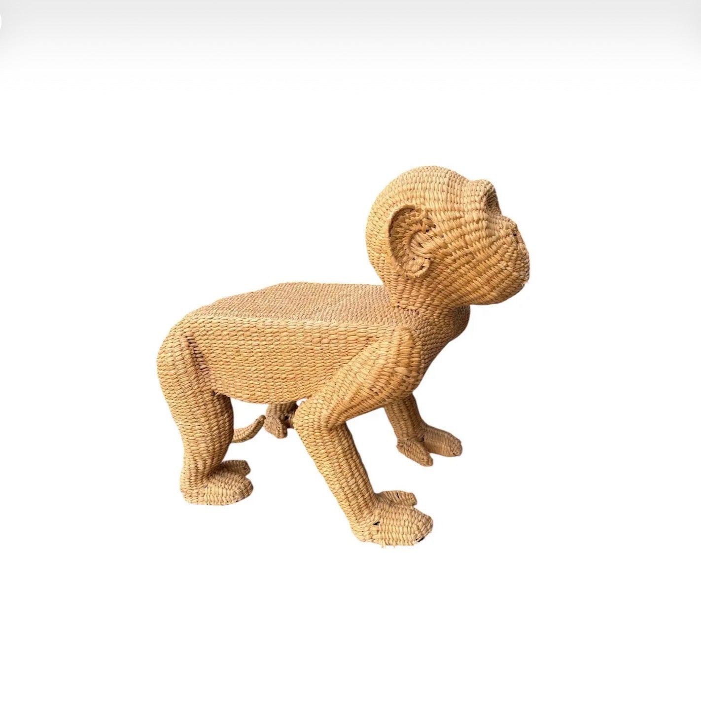 Mario Lopez Torres Monkey Bench