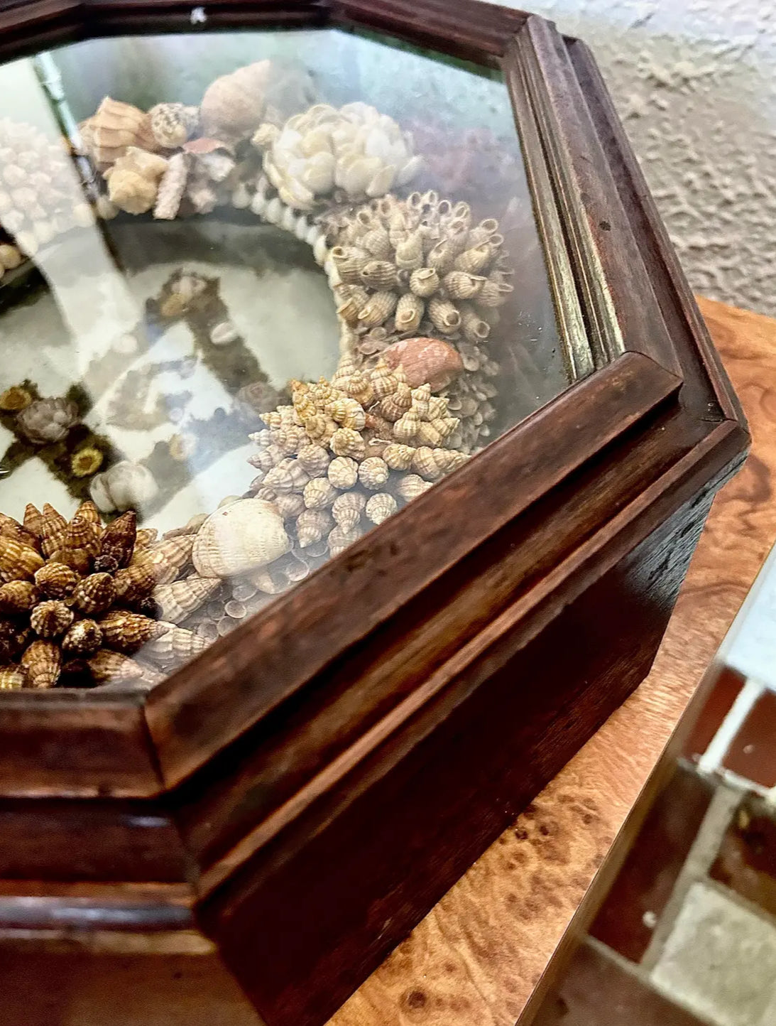 Antique Masonic Lodge Shellwork Shadow Box