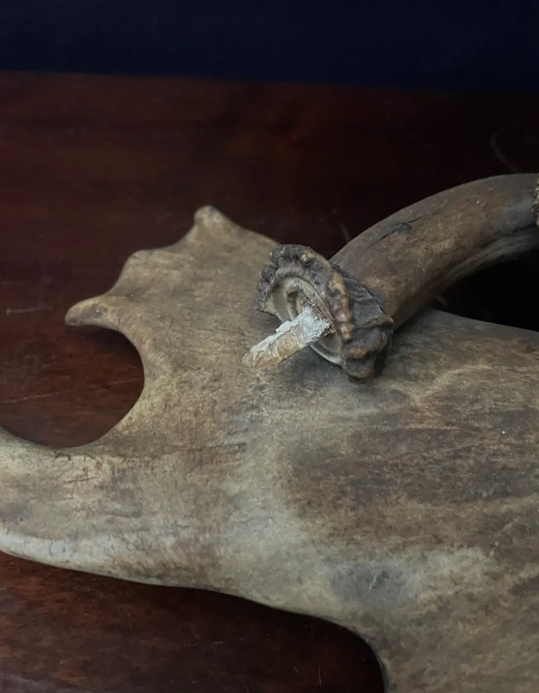 Early 20th Century Antler Vanity Mirror