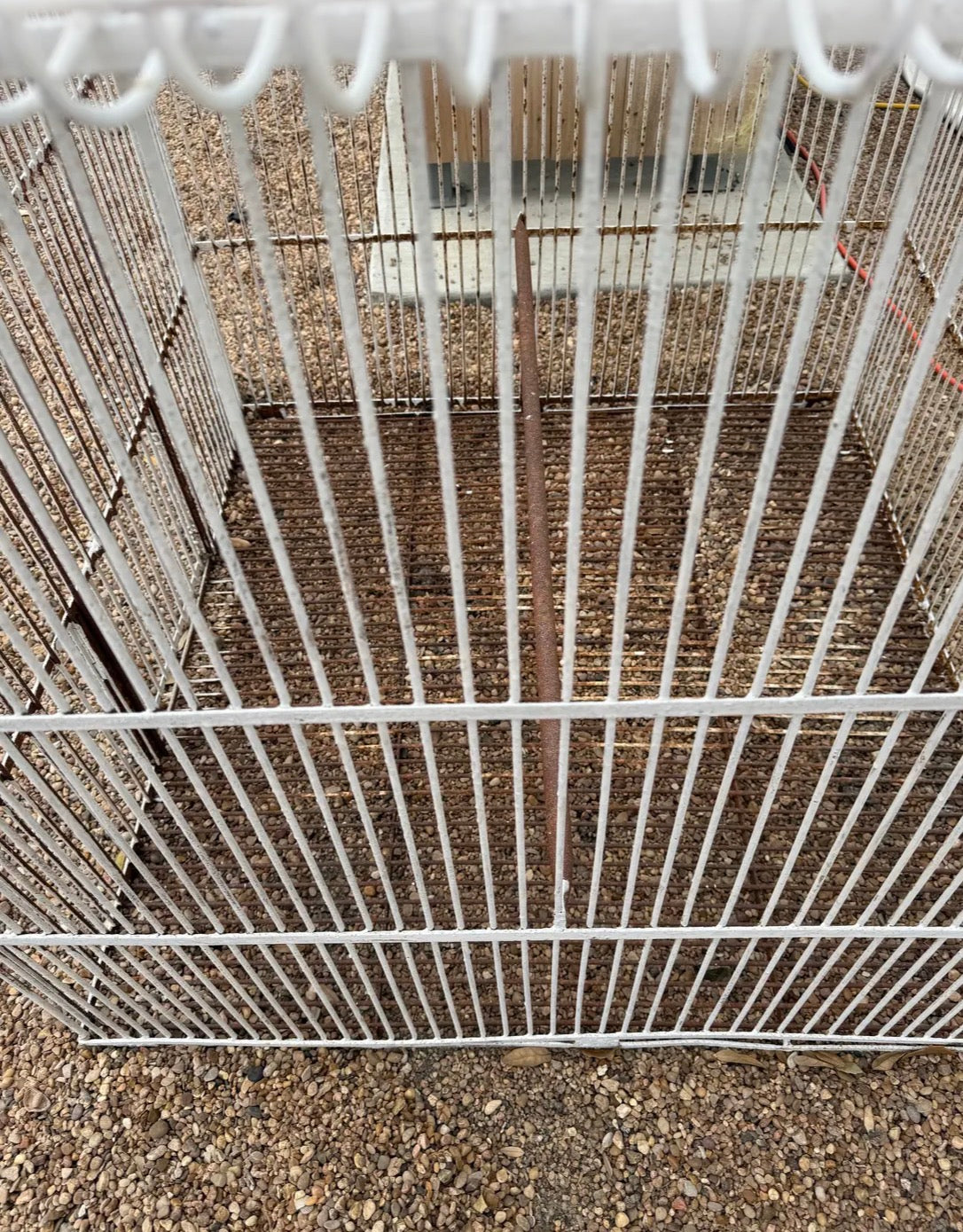 Vintage Extremely Large Pagoda Top Birdcage